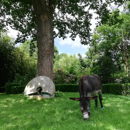 Moulin Du Ruet ヴィラ Saint-Amand-sur-Fion
