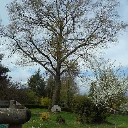 Moulin Du Ruet Saint-Amand-sur-Fion